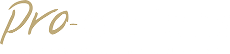 Pro-actions Business Coaching and Support